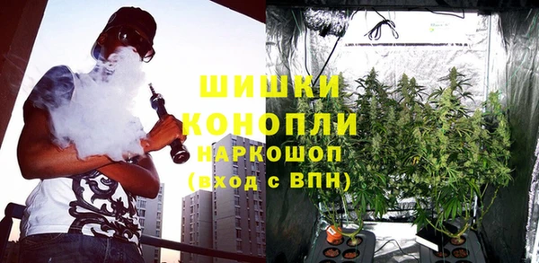 круглые Аркадак